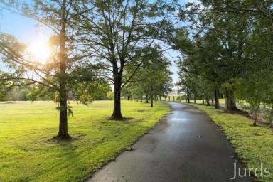 Lifestyle For Sale - NSW - Lovedale - 2325 - “The Willows” — The Ultimate Hunter Valley Escape  (Image 2)