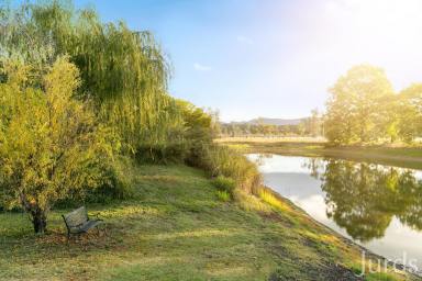 Lifestyle For Sale - NSW - Lovedale - 2325 - “The Willows” — The Ultimate Hunter Valley Escape  (Image 2)