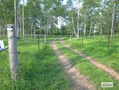 Acreage/Semi-rural For Sale - QLD - Spring Creek - 4361 - Finish it YOUR Way!  (Image 2)