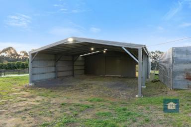 Lifestyle For Sale - VIC - Barongarook - 3249 - Rustic Country Retreat… (Image 2)