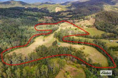 Acreage/Semi-rural For Sale - NSW - Caparra - 2429 - UNDER A CHANDELIER OF STARS  (Image 2)