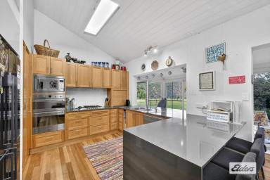 Acreage/Semi-rural For Sale - NSW - Caparra - 2429 - UNDER A CHANDELIER OF STARS  (Image 2)