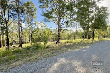 Residential Block For Sale - QLD - Glenwood - 4570 - SPACE, PRIVACY & POTENTIAL  (Image 2)
