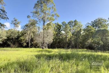 Residential Block For Sale - QLD - Glenwood - 4570 - SPACE, PRIVACY & POTENTIAL  (Image 2)
