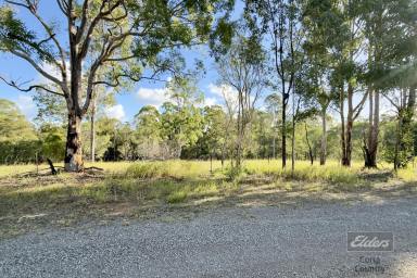 Residential Block For Sale - QLD - Glenwood - 4570 - SPACE, PRIVACY & POTENTIAL (Image 2)