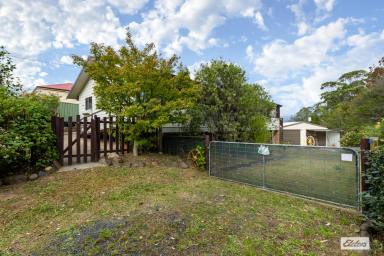 House For Sale - NSW - Bemboka - 2550 - FRESH, SPACIOUS & READY TO ENJOY IN THE HEART OF BEMBOKA  (Image 2)