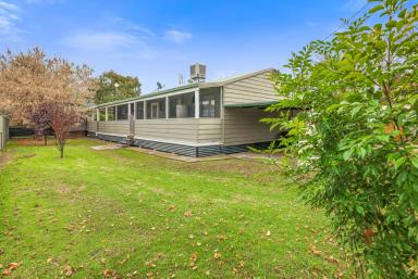 House For Lease - NSW - Tamworth - 2340 - SERENE COMFORT IN WOOLOMIN  (Image 2)