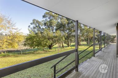 Acreage/Semi-rural For Sale - VIC - Mornington - 3931 - A Country Soul with Coastal Convenience (Image 2)