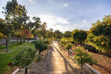 Lifestyle For Sale - NSW - Gocup - 2720 - Modern Country Living with Western Charm on 100 Acres  (Image 2)
