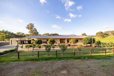 Lifestyle For Sale - NSW - Gocup - 2720 - Modern Country Living with Western Charm on 100 Acres  (Image 2)
