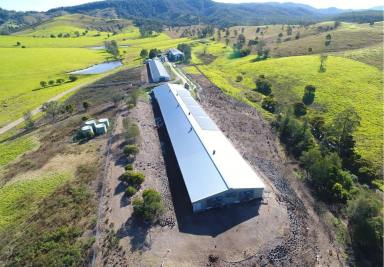 Other (Rural) For Sale - NSW - Wards River - 2422 - Expressions of Interest – Premier Egg Farm & Prime Agricultural Holding on 100 Acres in Wards River  (Image 2)