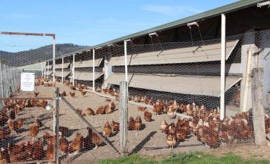 Other (Rural) Sold - NSW - Wards River - 2422 - Expressions of Interest – Premier Egg Farm & Prime Agricultural Holding on 100 Acres in Wards River  (Image 2)