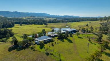 Lifestyle For Sale - NSW - Gloucester - 2422 - Tarnwar Park  (Image 2)