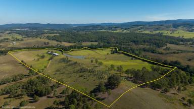 Lifestyle For Sale - NSW - Gloucester - 2422 - Tarnwar Park  (Image 2)