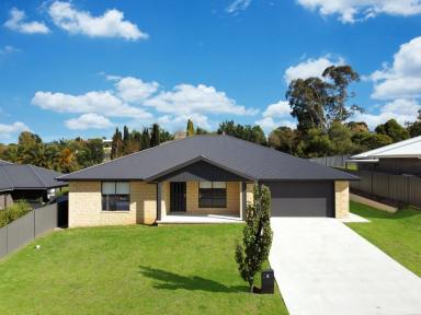 House For Sale - NSW - Young - 2594 - Sure To Impress  (Image 2)