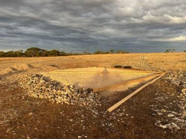 Residential Block For Sale - SA - Streaky Bay - 5680 - Bush acreage with sheds (Image 2)