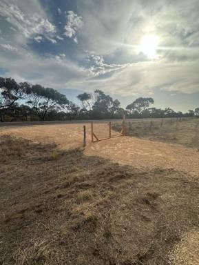Residential Block For Sale - SA - Streaky Bay - 5680 - Bush acreage with sheds (Image 2)