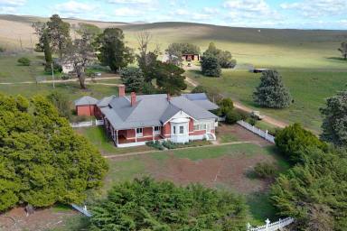 Livestock For Sale - NSW - Cooma - 2630 - Historic Monaro Grazing Holding (Image 2)