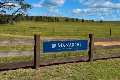 Livestock For Sale - NSW - Cooma - 2630 - Historic Monaro Grazing Holding (Image 2)