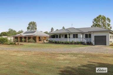 House For Lease - QLD - Helidon Spa - 4344 - Room for the Extended Family – Dual Living on Approx. 2 Acres  (Image 2)