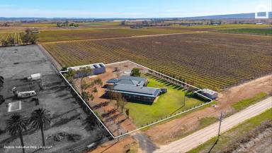 House For Sale - NSW - Yenda - 2681 - Open Skies, Indoor Pool and Room to Breathe  (Image 2)