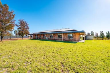 House For Sale - NSW - Yenda - 2681 - Open Skies, Indoor Pool and Room to Breathe  (Image 2)