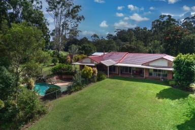 Acreage/Semi-rural For Sale - QLD - Cooroy - 4563 - A Rare Find in the Tightly Held Golden Triangle  (Image 2)