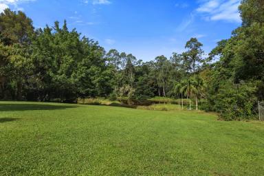Acreage/Semi-rural For Sale - QLD - Cooroy - 4563 - A Rare Find in the Tightly Held Golden Triangle  (Image 2)