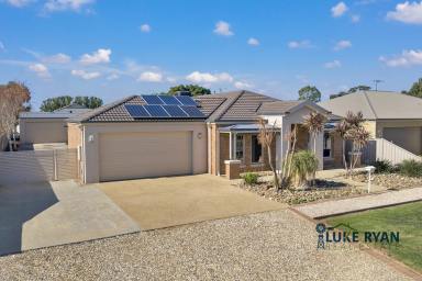 House For Sale - VIC - Rochester - 3561 - STYLISH FAMILY LIVING WITH SPACIOUS SHED & ENTERTAINING AREA  (Image 2)