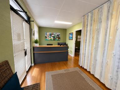 Office(s) For Lease - NSW - Berry - 2535 - Three Commercial Spaces Available in the Heart of Berry  (Image 2)