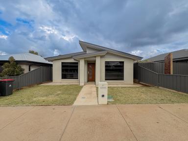 House For Lease - VIC - Swan Hill - 3585 - Modern Easy Living  (Image 2)