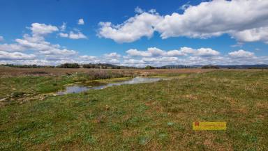 Other (Rural) For Sale - NSW - Mudgee - 2850 - BUILD THE DREAM HOME ON EXCEPTIONAL GRAZING  (Image 2)