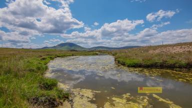 Other (Rural) For Sale - NSW - Mudgee - 2850 - BUILD THE DREAM HOME ON EXCEPTIONAL GRAZING  (Image 2)