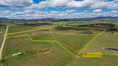 Other (Rural) For Sale - NSW - Mudgee - 2850 - BUILD THE DREAM HOME ON EXCEPTIONAL GRAZING  (Image 2)