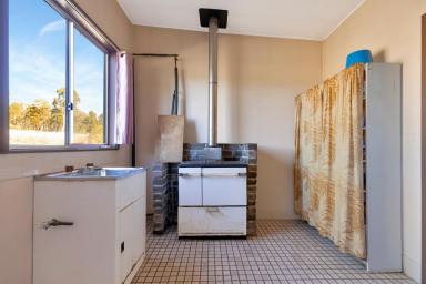 Lifestyle For Sale - NSW - Mudgee - 2850 - RENOVATE, REIMAGINE & CREATE YOUR DREAM ACREAGE  (Image 2)