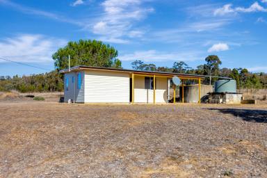 Lifestyle For Sale - NSW - Mudgee - 2850 - RENOVATE, REIMAGINE & CREATE YOUR DREAM ACREAGE  (Image 2)