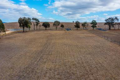 Residential Block For Sale - NSW - Gulgong - 2852 - CREATE YOUR COUNTRY DREAM ON THE EDGE OF GULGONG  (Image 2)