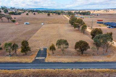 Residential Block For Sale - NSW - Gulgong - 2852 - CREATE YOUR COUNTRY DREAM ON THE EDGE OF GULGONG  (Image 2)