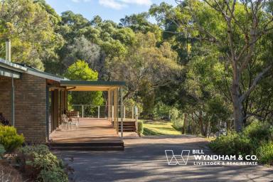 House For Sale - VIC - Metung - 3904 - Shh… You've Found a Private Escape That Ticks Every Box  (Image 2)