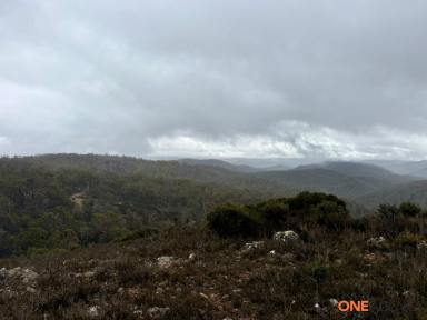 Lifestyle For Sale - NSW - Kybeyan - 2631 - Lifestyle oppurtunity on the great dividing Range  (Image 2)