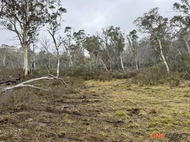 Lifestyle For Sale - NSW - Kybeyan - 2631 - Lifestyle opportunity on the great dividing Range (Image 2)