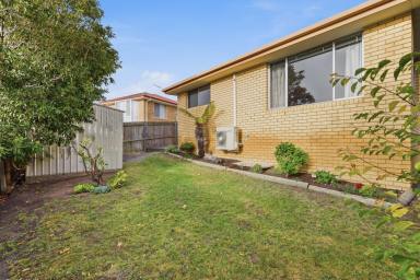 House For Lease - TAS - Montrose - 7010 - Comfortable Family Living in the Heart of Montrose (Image 2)