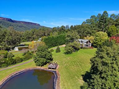 House Auction - NSW - Kangaroo Valley - 2577 - Cloud 9 Chalet - In Beautiful Upper Kangaroo River (Image 2)