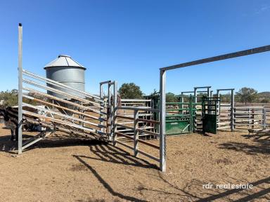 Mixed Farming For Sale - NSW - Inverell - 2360 - GRAZING BLOCK WITH CREEK FRONTAGE  (Image 2)
