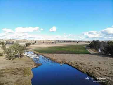 Mixed Farming For Sale - NSW - Inverell - 2360 - GRAZING BLOCK WITH CREEK FRONTAGE  (Image 2)