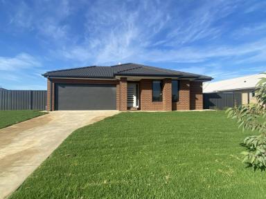 House For Lease - NSW - Moama - 2731 - New Estate Living - The Range  (Image 2)