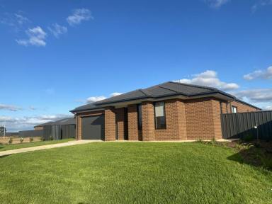House For Lease - NSW - Moama - 2731 - New Estate Living - The Range  (Image 2)