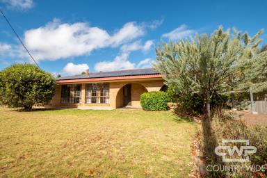 House For Sale - NSW - Glen Innes - 2370 - comfortable family living with plenty of space both inside and out.  (Image 2)