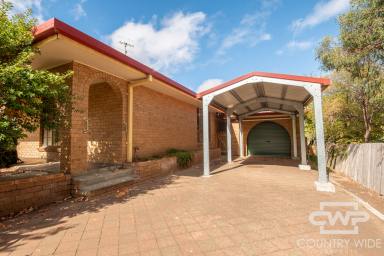 House For Sale - NSW - Glen Innes - 2370 - comfortable family living with plenty of space both inside and out.  (Image 2)