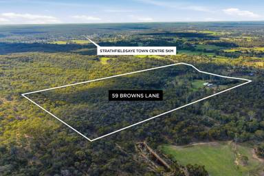 House For Sale - VIC - Emu Creek - 3551 - Private Creekside Sanctuary on 32ha (Image 2)